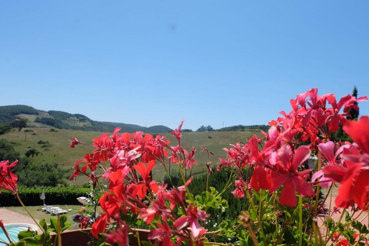 Country House La Collina Di Bargiano - Casa Raffaella Allerona Dış mekan fotoğraf