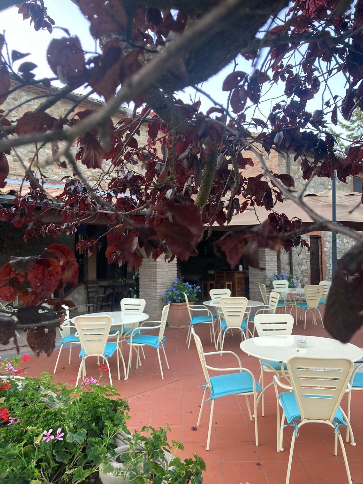 Country House La Collina Di Bargiano - Casa Raffaella Allerona Dış mekan fotoğraf