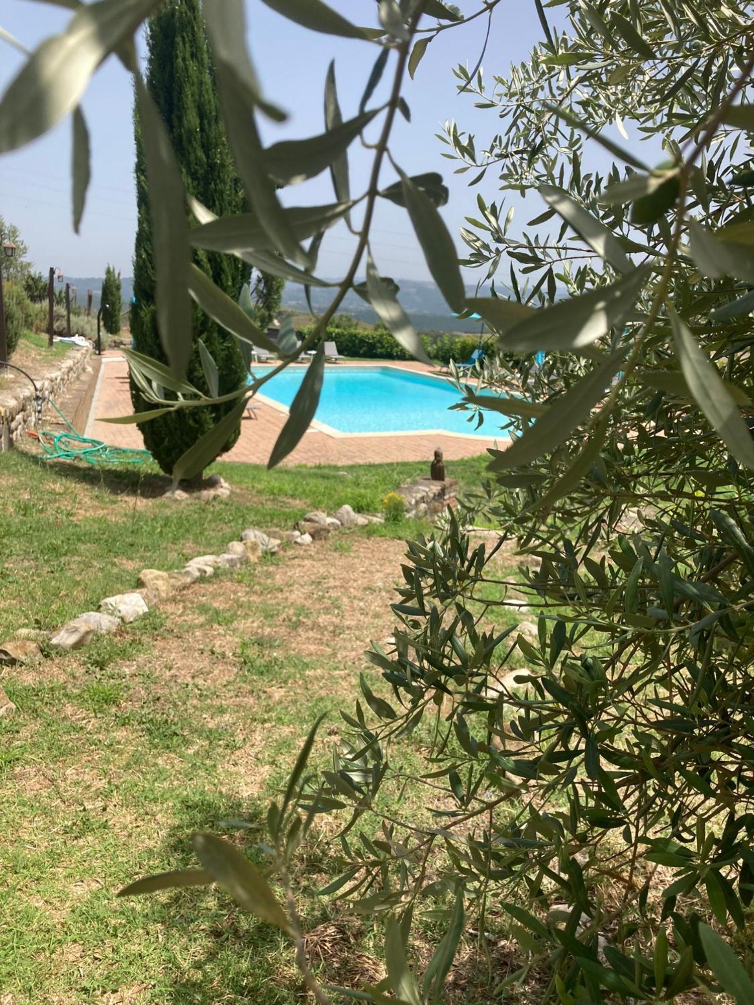 Country House La Collina Di Bargiano - Casa Raffaella Allerona Dış mekan fotoğraf