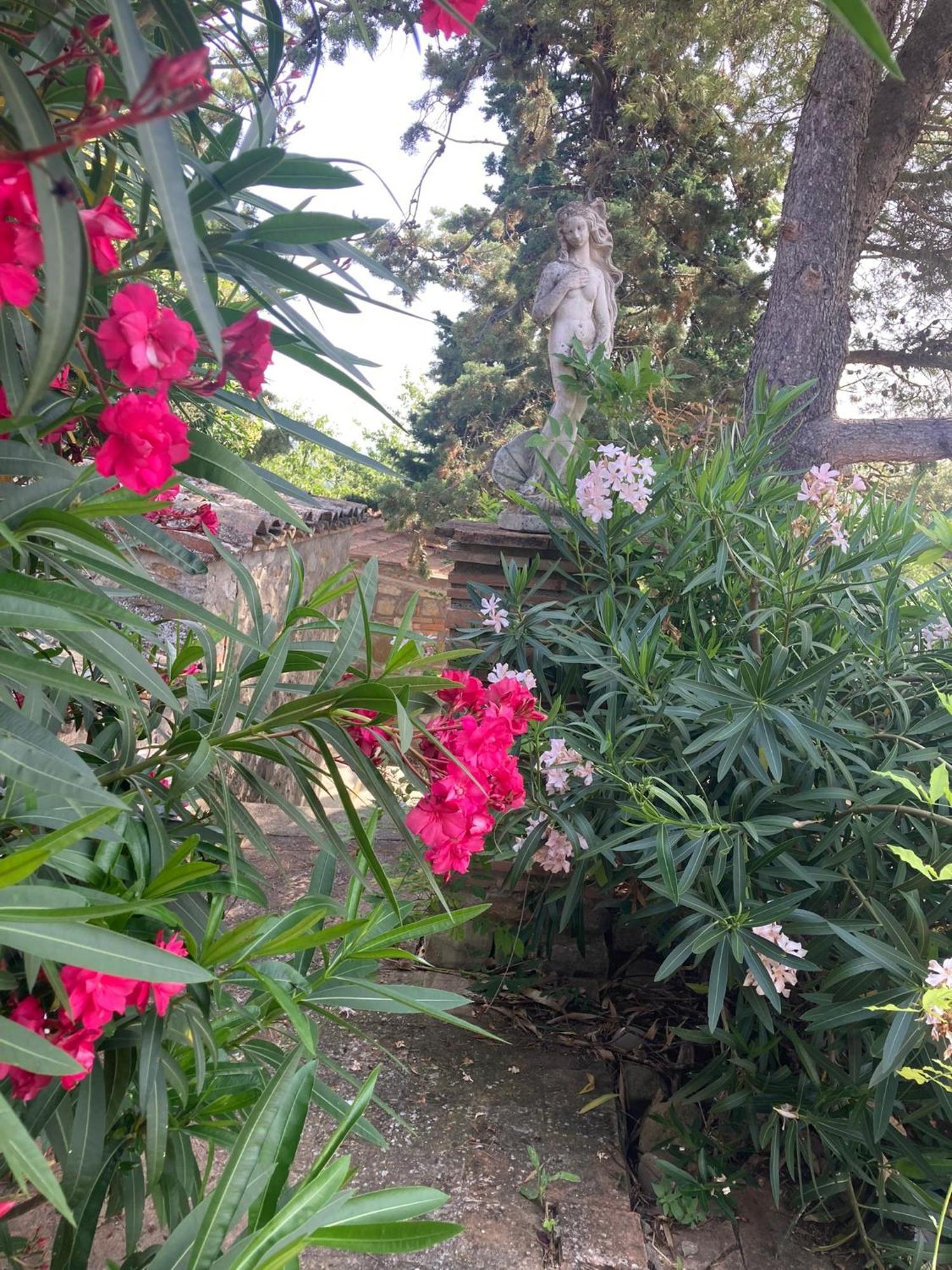 Country House La Collina Di Bargiano - Casa Raffaella Allerona Dış mekan fotoğraf
