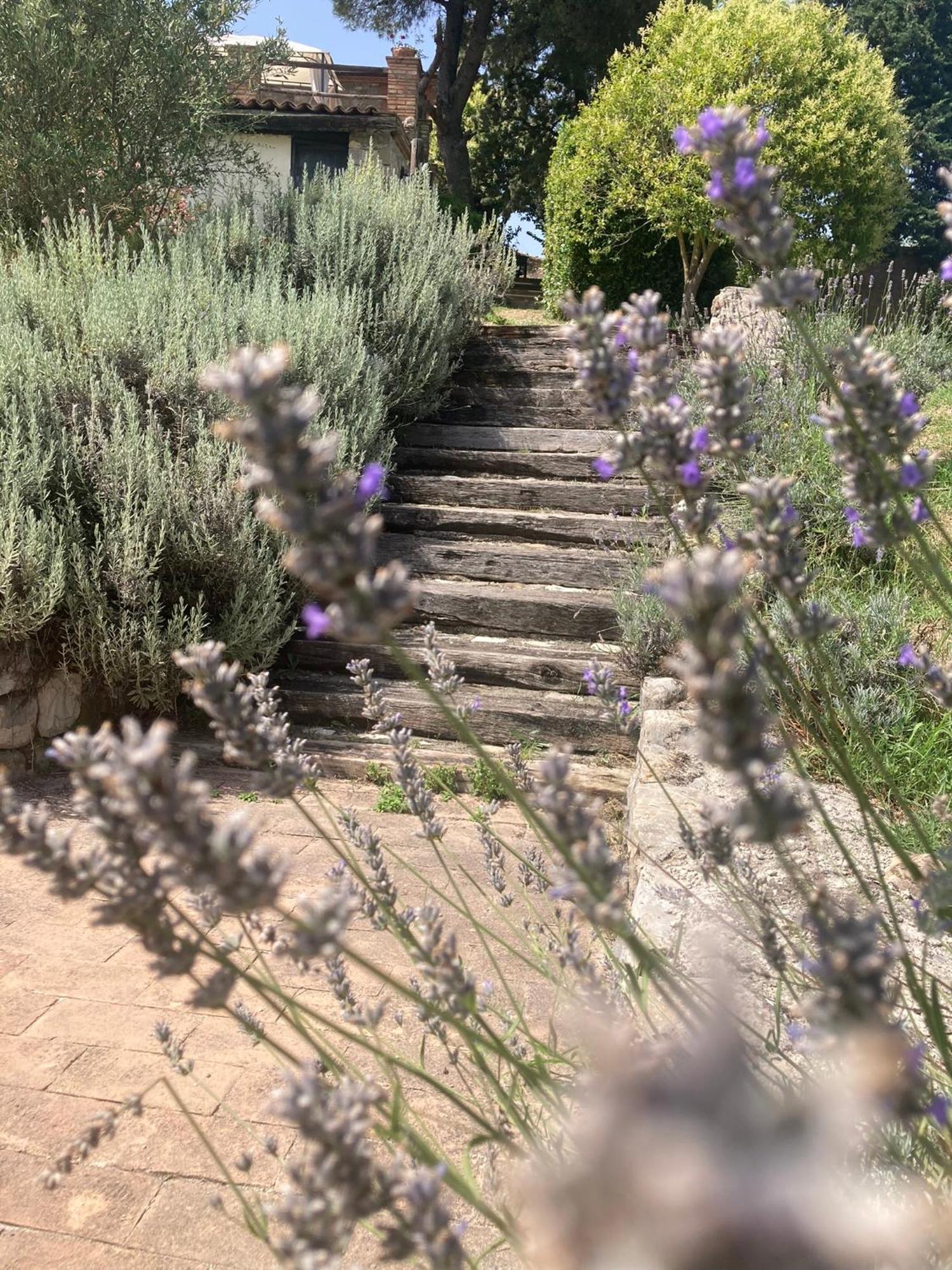 Country House La Collina Di Bargiano - Casa Raffaella Allerona Dış mekan fotoğraf