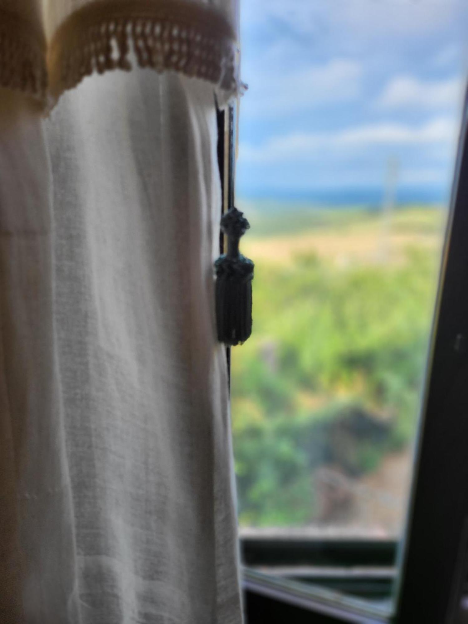 Country House La Collina Di Bargiano - Casa Raffaella Allerona Dış mekan fotoğraf